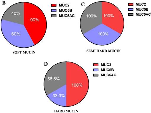 Int J Med Sci Image