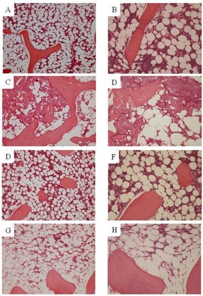 Int J Med Sci Image