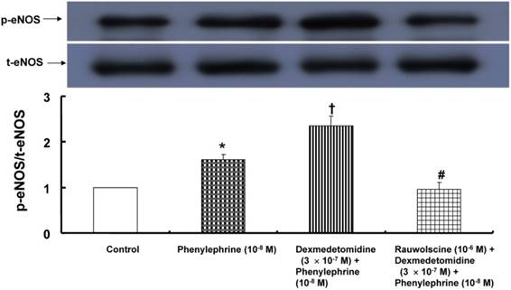 Int J Med Sci Image