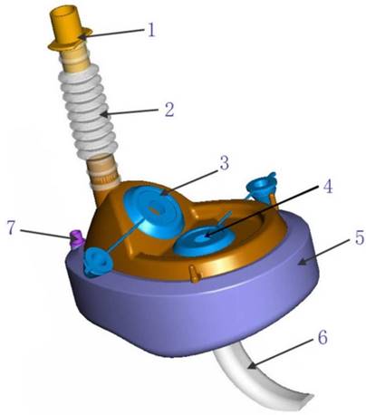 Int J Med Sci Image