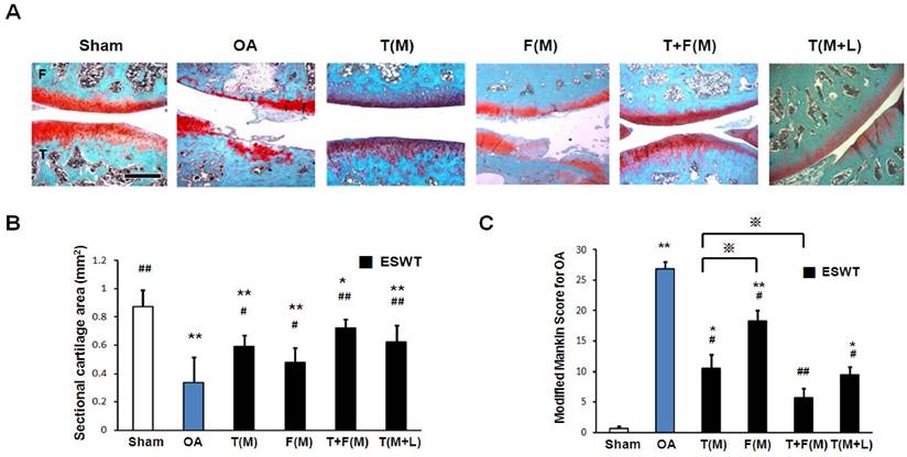 Int J Med Sci Image