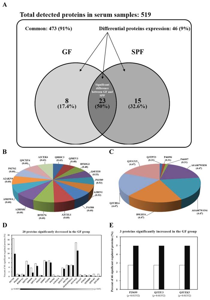 Int J Med Sci Image