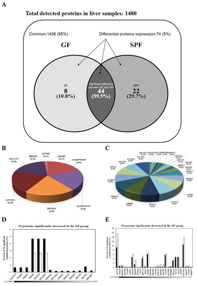 Int J Med Sci Image