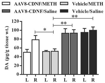 Int J Med Sci Image