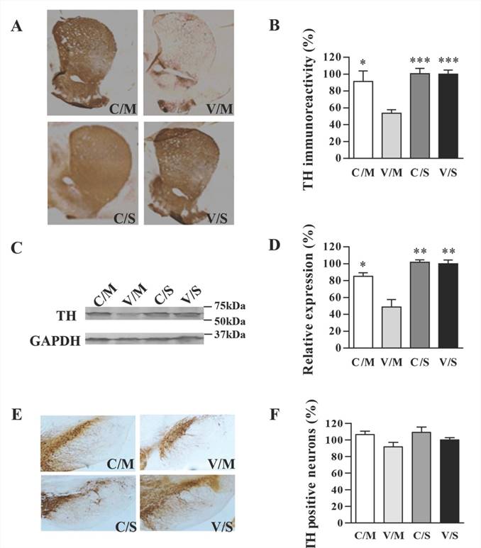 Int J Med Sci Image