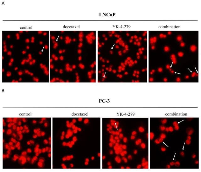 Int J Med Sci Image