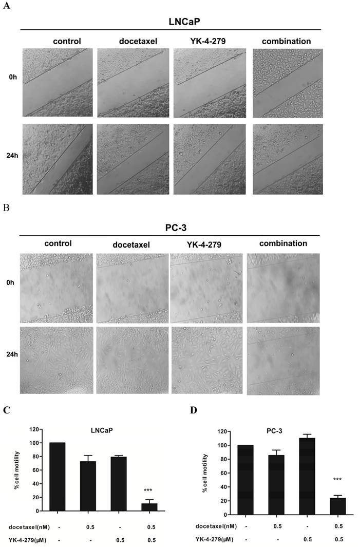 Int J Med Sci Image