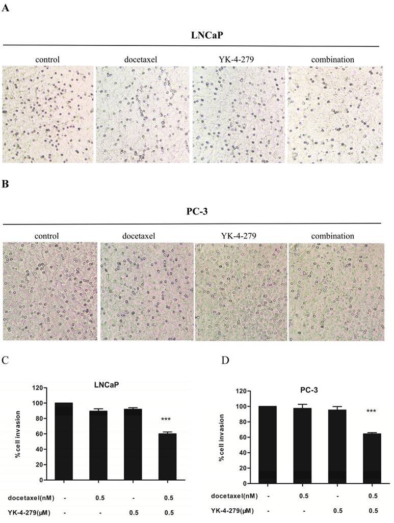 Int J Med Sci Image