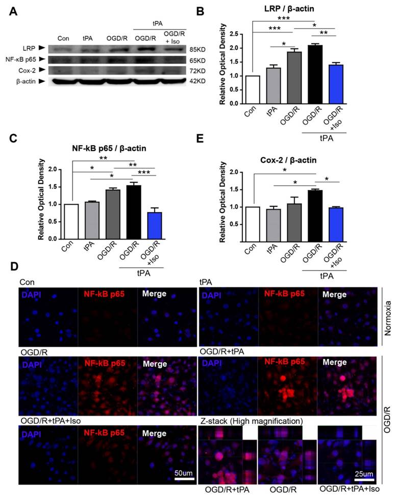 Int J Med Sci Image