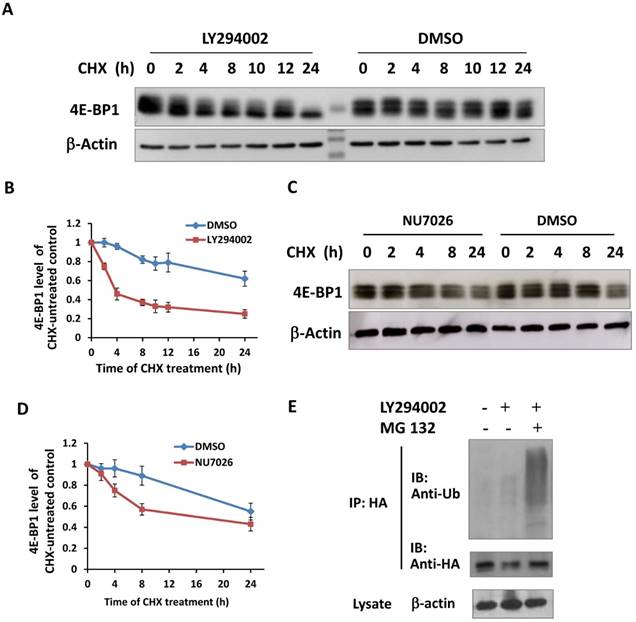 Int J Med Sci Image