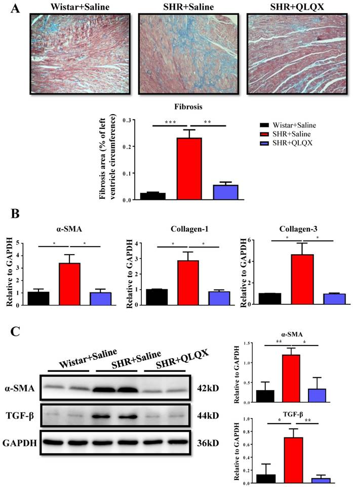 Int J Med Sci Image