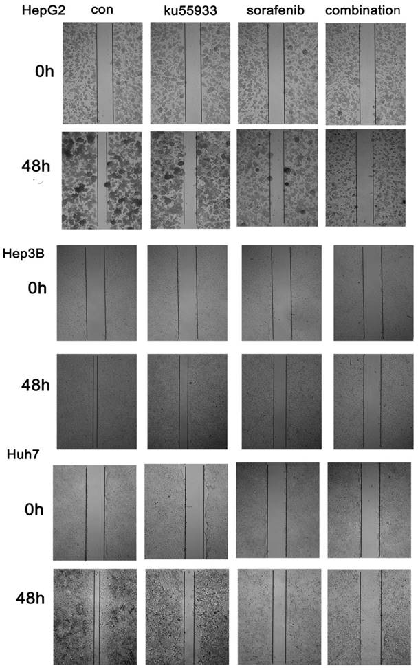 Int J Med Sci Image