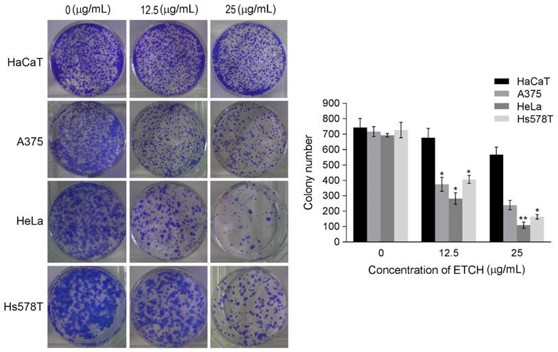 Int J Med Sci Image