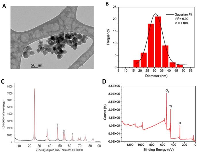 Int J Med Sci Image