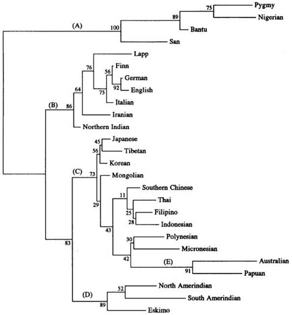 Int J Med Sci Image