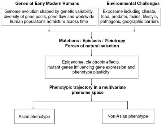 Int J Med Sci Image