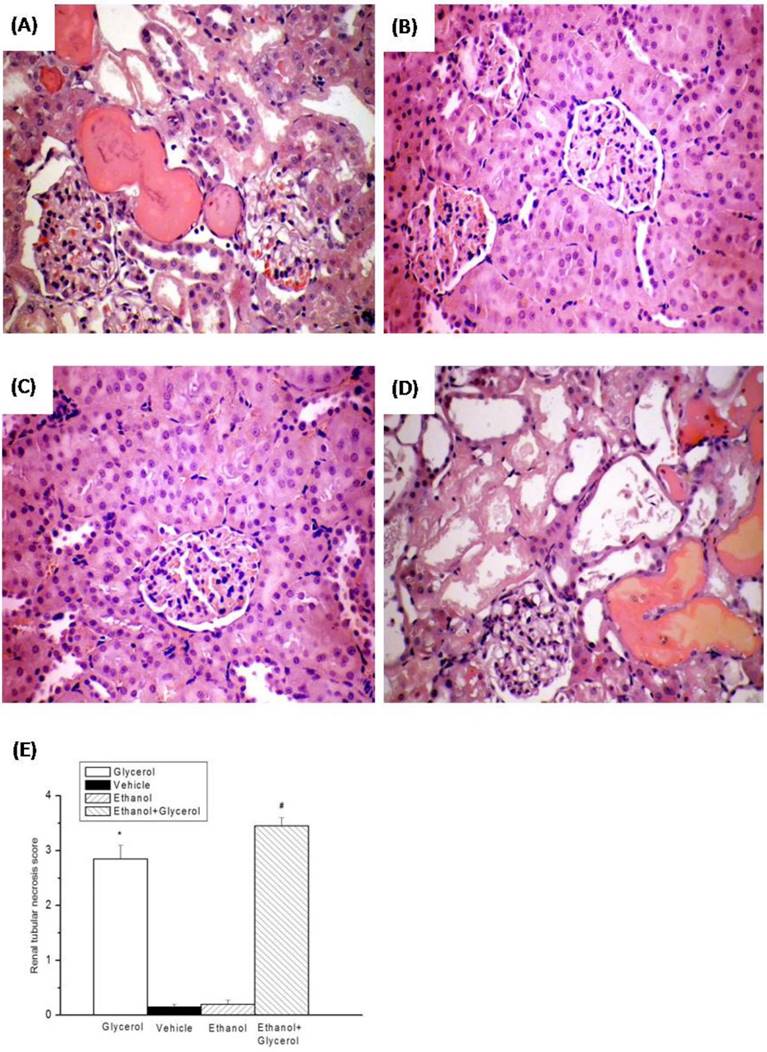 Int J Med Sci Image