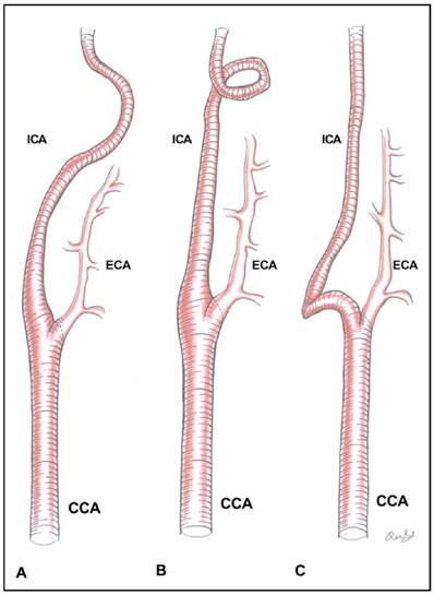 Int J Med Sci Image