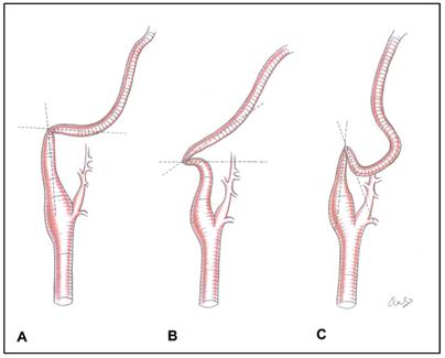 Int J Med Sci Image