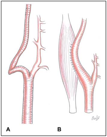 Int J Med Sci Image