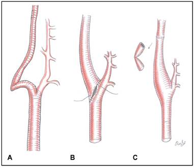 Int J Med Sci Image
