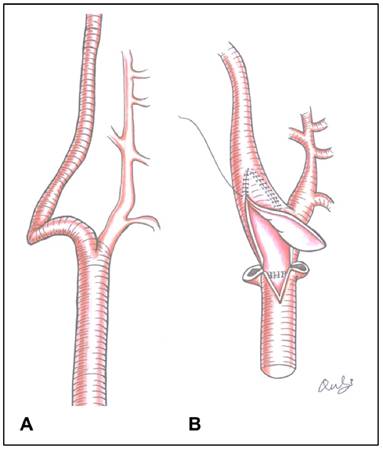 Int J Med Sci Image