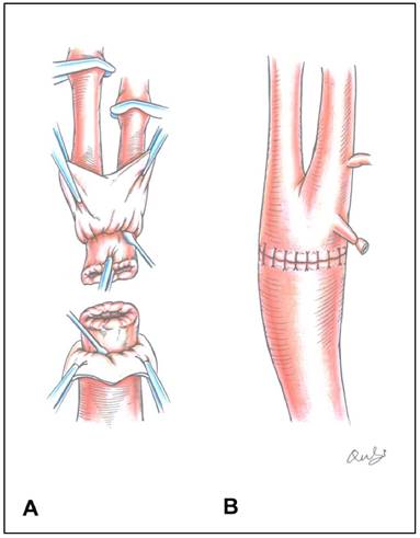 Int J Med Sci Image