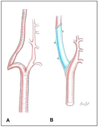 Int J Med Sci Image