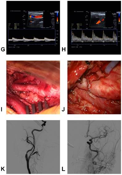 Int J Med Sci Image