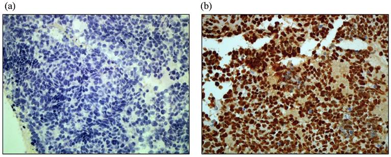 Int J Med Sci Image