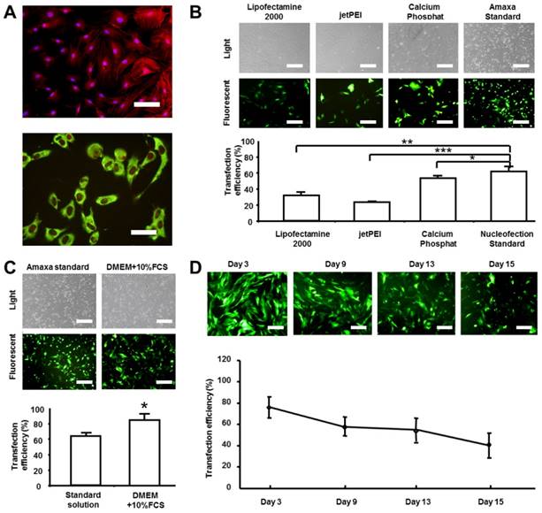 Int J Med Sci Image