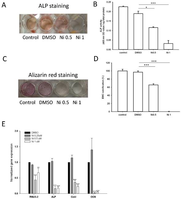 Int J Med Sci Image