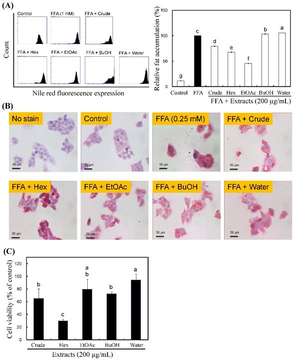 Int J Med Sci Image