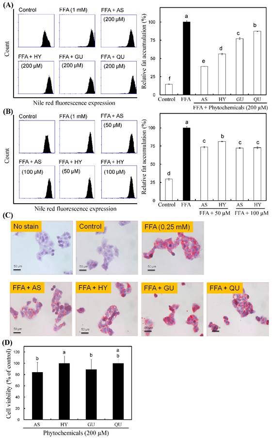 Int J Med Sci Image