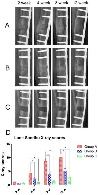 Int J Med Sci Image