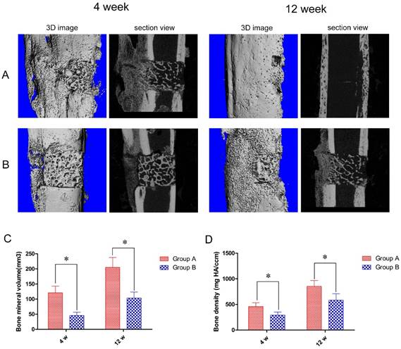 Int J Med Sci Image