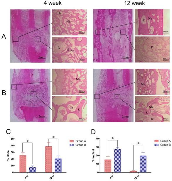 Int J Med Sci Image