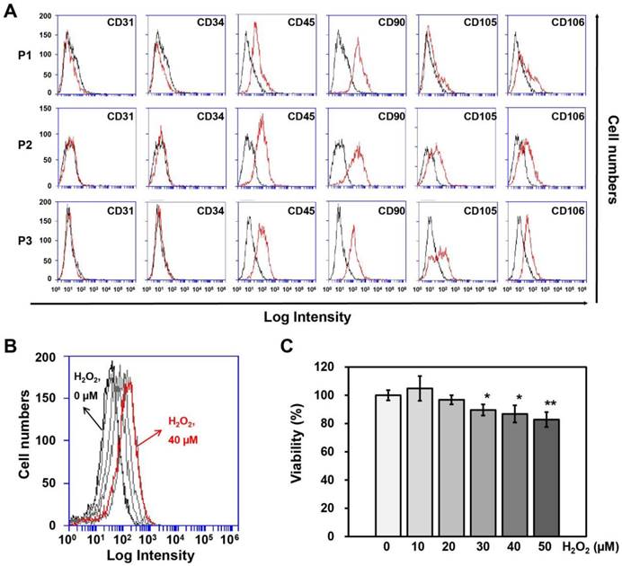 Int J Med Sci Image