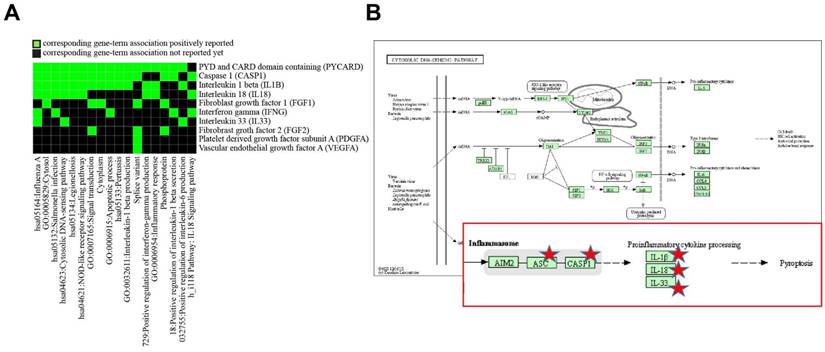 Int J Med Sci Image