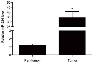 Int J Med Sci Image