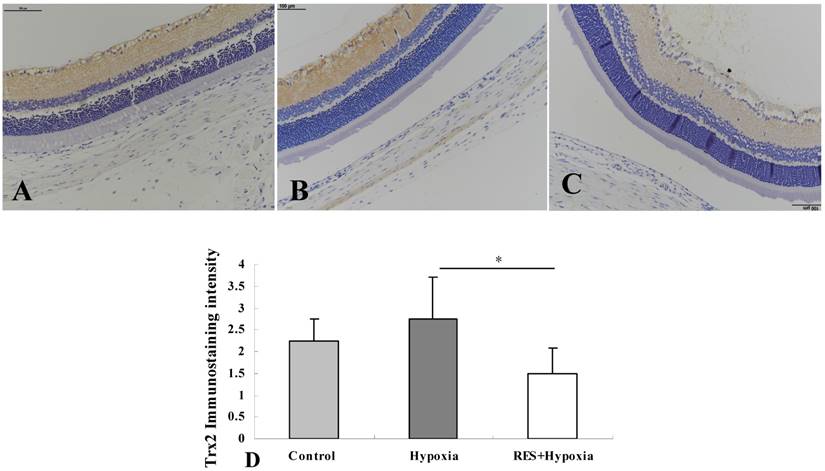 Int J Med Sci Image