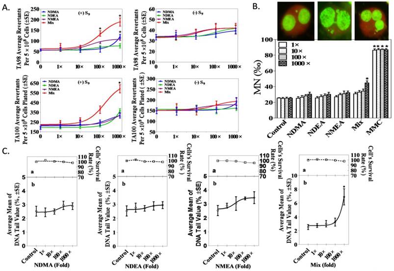 Int J Med Sci Image