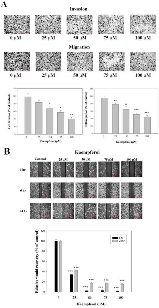 Int J Med Sci Image