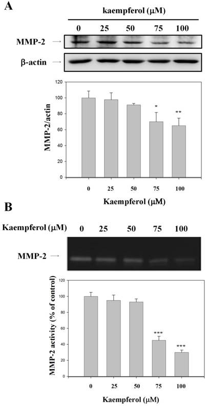 Int J Med Sci Image