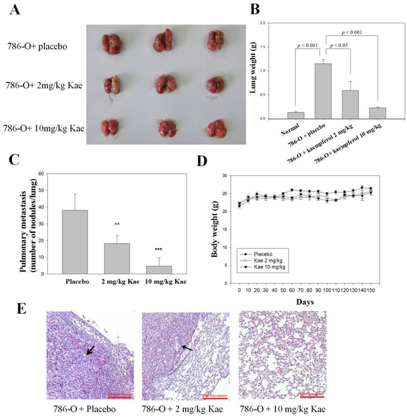 Int J Med Sci Image