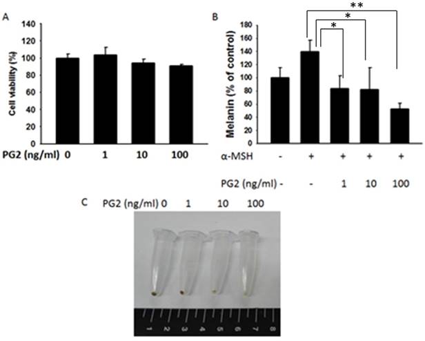 Int J Med Sci Image