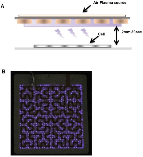 Int J Med Sci Image