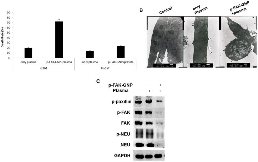 Int J Med Sci Image