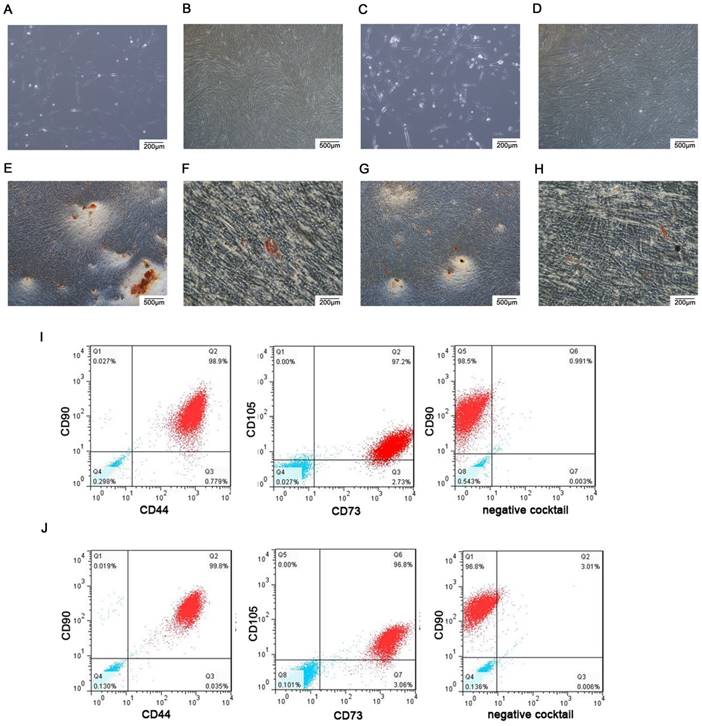 Int J Med Sci Image