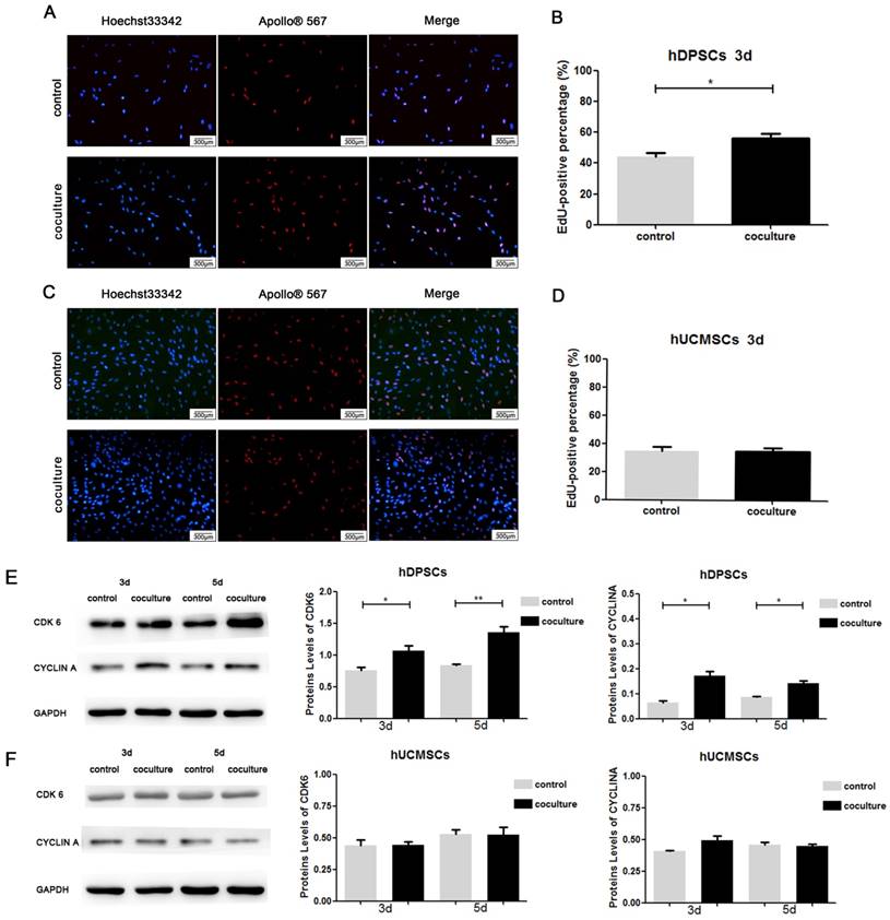 Int J Med Sci Image